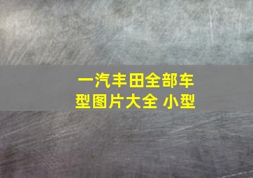 一汽丰田全部车型图片大全 小型